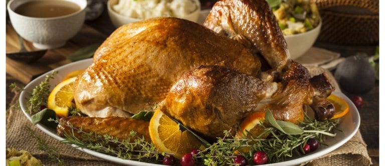 Turkey Farmers Launch Wishbone Project - Foodservice and Hospitality ...